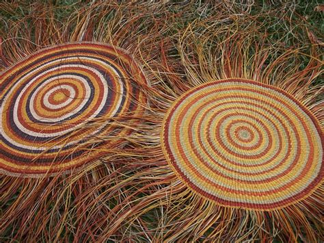  Creative Gardening for Pakistani Homes - A Tapestry Woven with Indigenous Wisdom and Modern Techniques